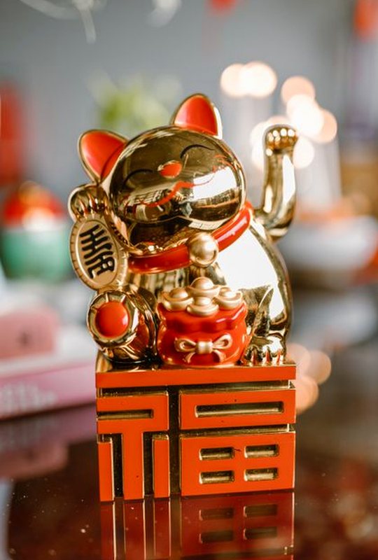 giấy phép MB66