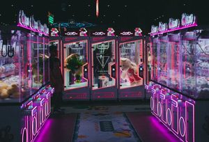 game 2025 8Day web
